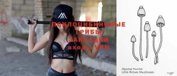 ALPHA PVP Покров